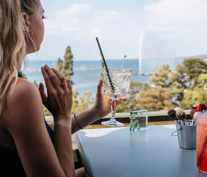 Rooftop Bar Geneva