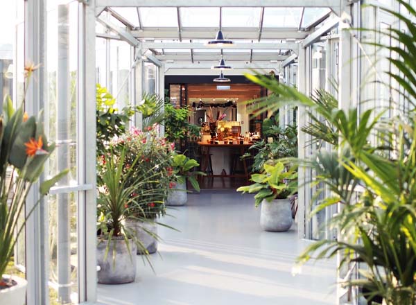 Rooftop bar Zoku Amsterdam in Amsterdam