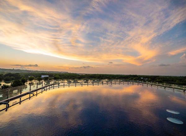 Rooftop bar ROOST Roofscape Dining in Bali