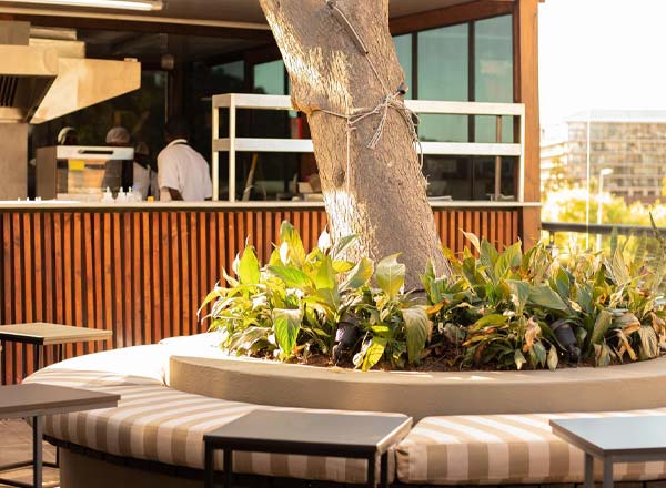 Rooftop bar Allure Rooftop Lounge in Cape Town