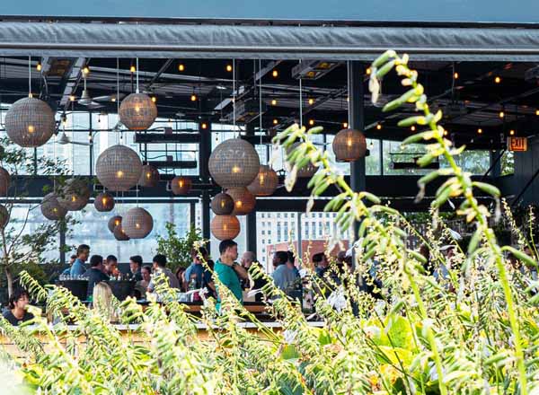 Rooftop bar bar avec in Chicago