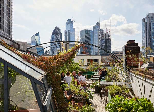 Rooftop bar The Culpeper Rooftop in London