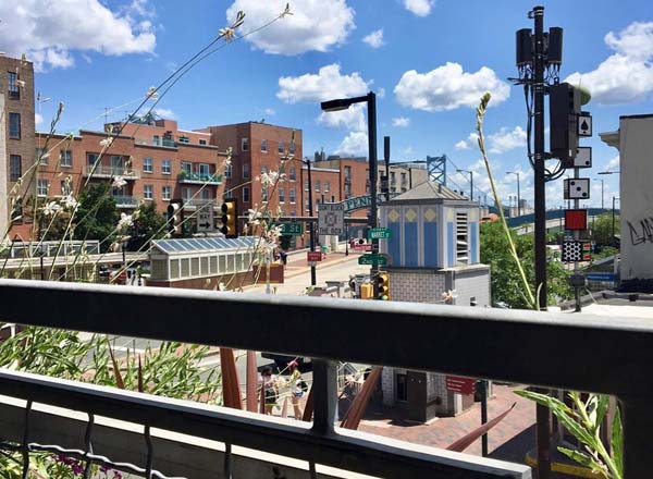 Rooftop bar Revolution House in Philadelphia
