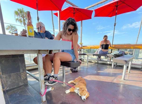 Bar en la azotea Ocean Beach Brewery en San Diego