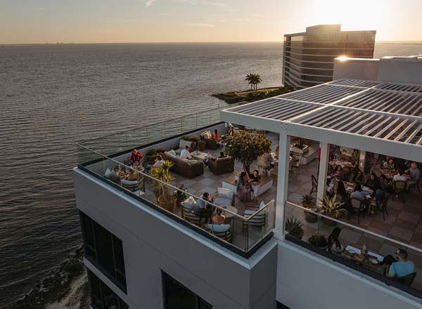 Rooftop bar Casa Cami in Tampa Bay