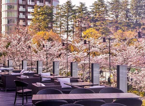 Rooftop bar Nirvana New York in Tokyo