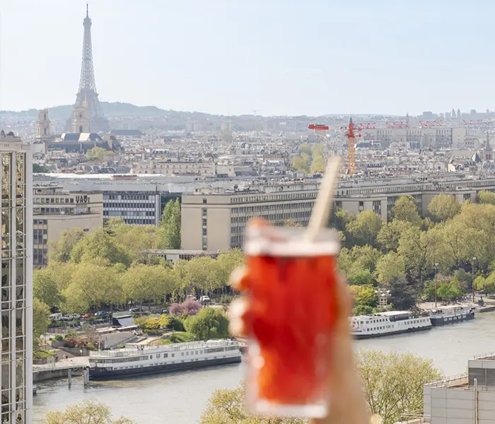 Rooftop Bars France